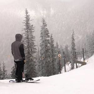 Meet your Posher, Brandon